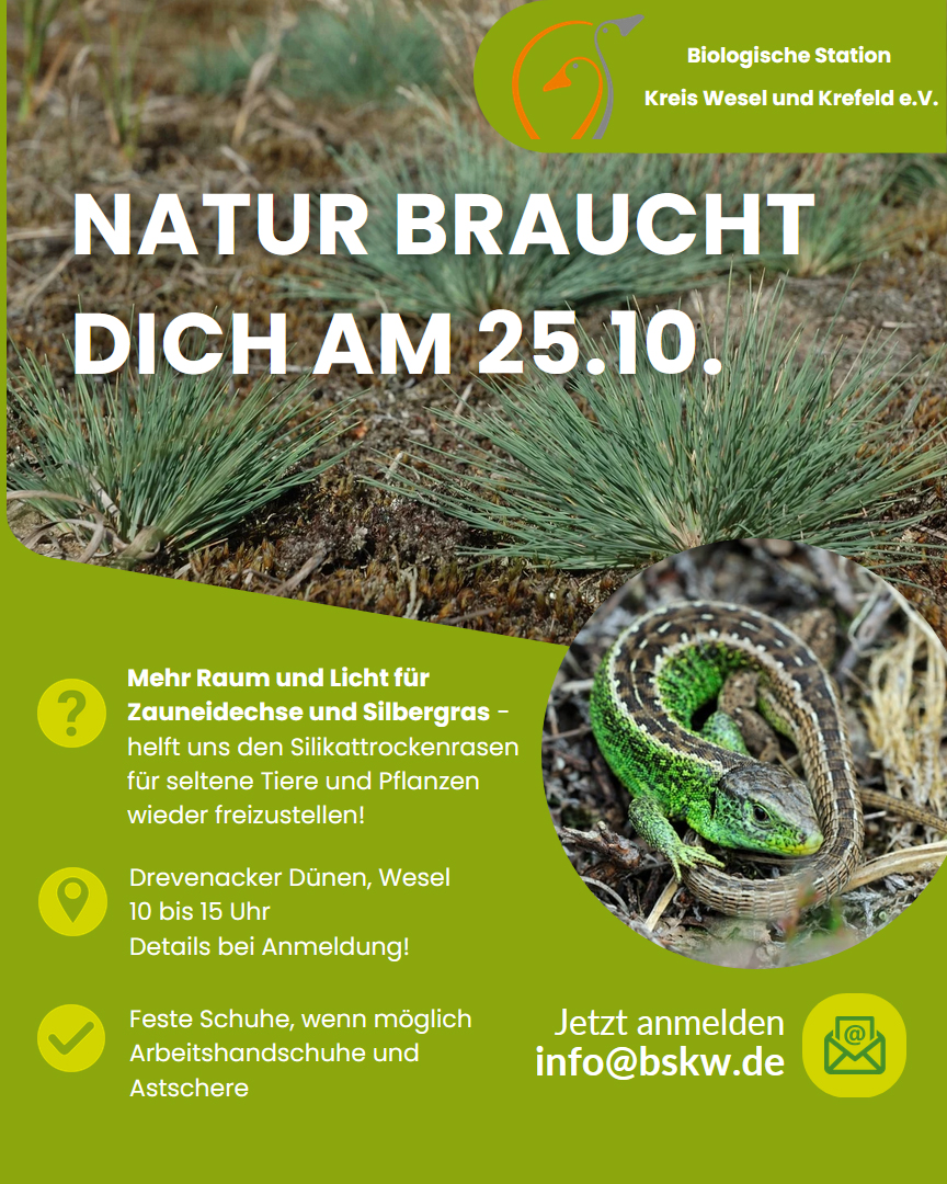 Poster Mitmachtag 2025