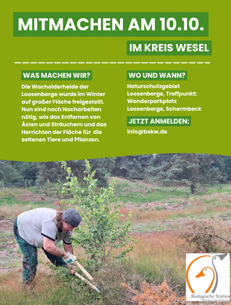 Foto: Flyer Mitmachtag